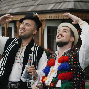 Listen to Două Rele Ce-S Pe Noi song with lyrics from Paul Ananie