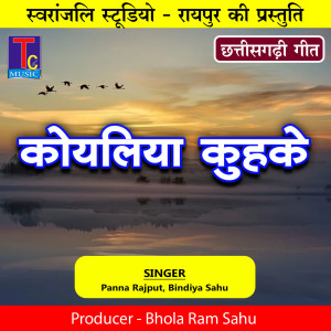 Album Koyaliya Kuhake (CG Song) from Panna Rajput