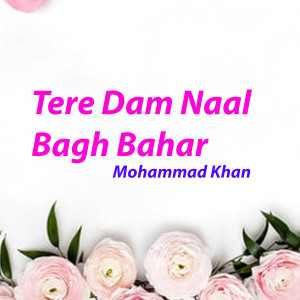 收听Mohammad Khan的Tere Dam Naal Bagh Bahar歌词歌曲