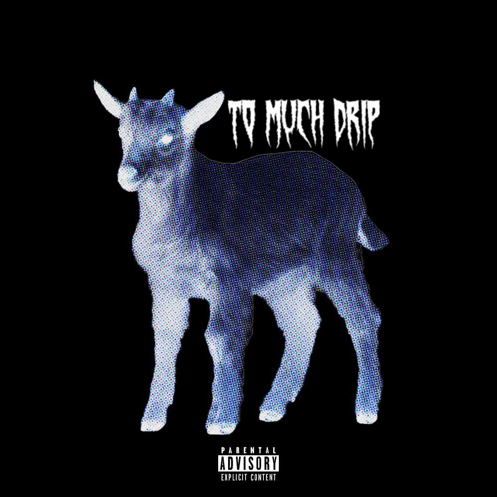 TO MUCH DRIP (Explicit)