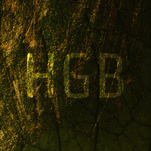 HGB (Explicit) dari FreshMan5000