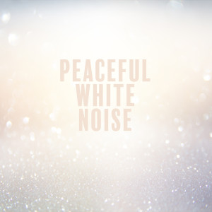 White Noise Universe的专辑Peaceful White Noise (Antistress & Relaxing Sounds to Fall Asleep to)