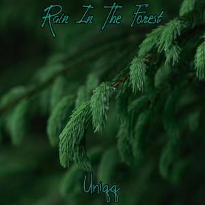 Listen to Rain In The Forest song with lyrics from Uniqqmusic