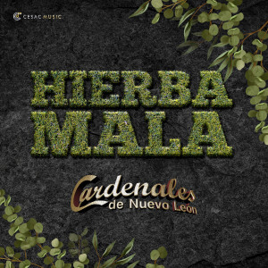 อัลบัม Hierba Mala ศิลปิน Cardenales De Nuevo León