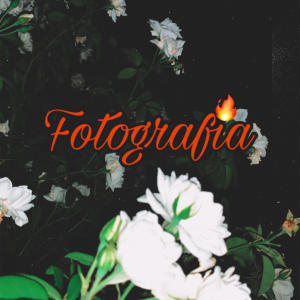 Fotografía