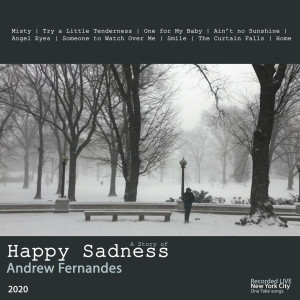 Dengarkan Home (Piano Acoustic) lagu dari Andrew Fernandes dengan lirik