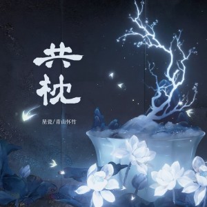 Album 共枕 from 临渊