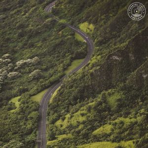 Album Lush from Foxy Fox