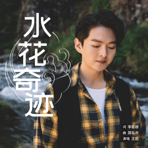 Listen to 水花奇迹 song with lyrics from 王凯