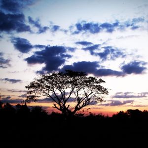 Listen to To the Mountain song with lyrics from Deep Sleep