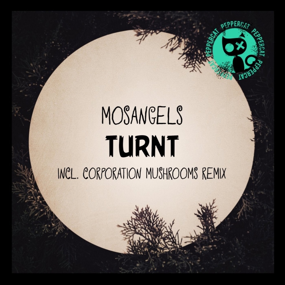 Turnt (Corporation Mushrooms Remix)