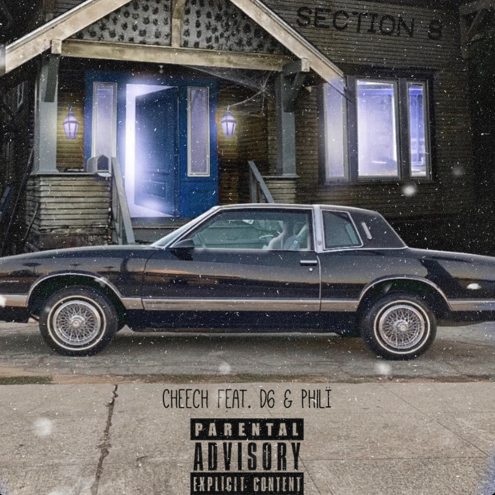 Section 8 (Explicit)