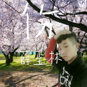 收听薛玺林的伤 (伴奏)歌词歌曲