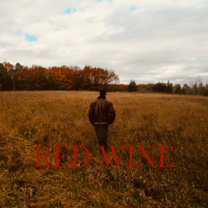 Listen to Red wine song with lyrics from Pablø