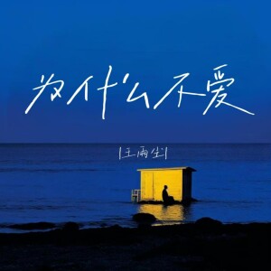 Album 为什么不爱 from 王雨尘