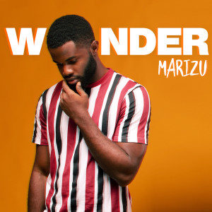 Dengarkan lagu Wonder nyanyian Marizu dengan lirik