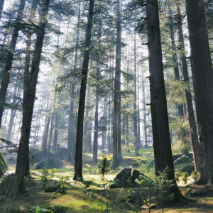 ดาวน์โหลดและฟังเพลง Emotional Cure พร้อมเนื้อเพลงจาก Nature Sounds Nature Music
