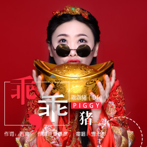 Album 乖乖猪(DJ) from 雪无影