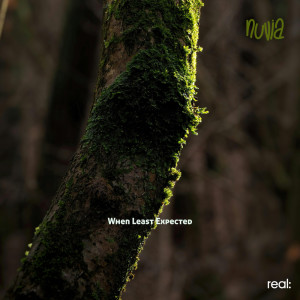 Nuvia的專輯When Least Expected