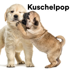Various Artists的專輯Kuschelpop (Explicit)