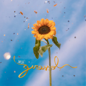 Album Girassol from 
