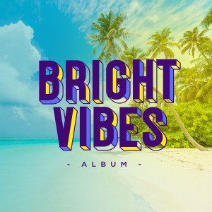 Various Artists的專輯Bright Vibes Album