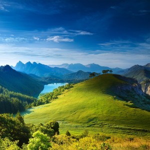 default playlist img