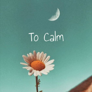 Meditations的专辑To Calm