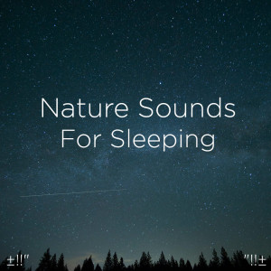 收聽Yoga的Sleep Sounds歌詞歌曲