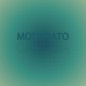 Listen to Moderato Camelia song with lyrics from Esly Nawell