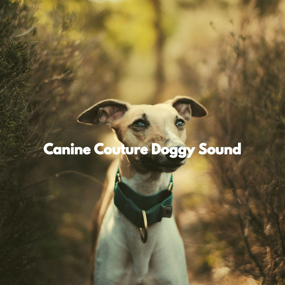 Ambience (Happy Dogs)