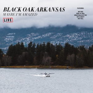 ดาวน์โหลดและฟังเพลง Maybe I'm Amazed (Live) พร้อมเนื้อเพลงจาก Black Oak Arkansas