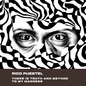 อัลบัม There is Truth and Method to my Madness ศิลปิน Rico Puestel