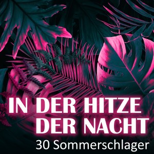 收聽Rob Fabian的Sag niemals nie (008)歌詞歌曲