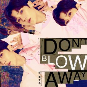 畢書盡的專輯Don't Blow Away