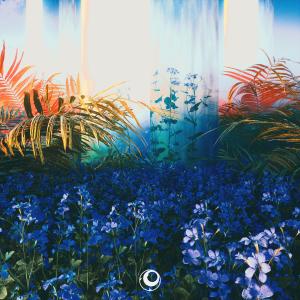 Listen to Inner Peace song with lyrics from Edwince