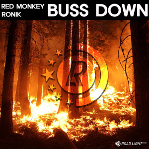 Listen to Buss Down song with lyrics from Red Monkey