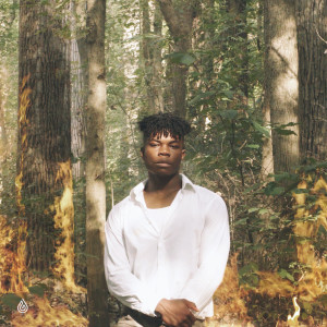 Listen to I Need A Forest Fire song with lyrics from Lani Rose