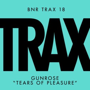 Album Tears of Pleasure oleh Gunrose
