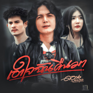 อัลบัม เอาใจฉันคืนมา - Single ศิลปิน ดอน ปาละกุล