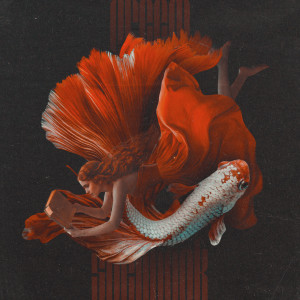 Listen to aqua song with lyrics from Dreem