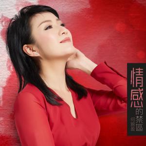 อัลบัม 情感的禁區 (音樂永續作品) ศิลปิน 何婉盈