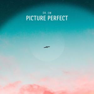 อัลบัม Picture Perfect ศิลปิน Dr. Ew