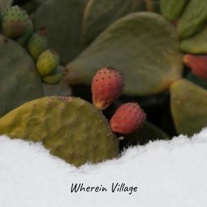 Album Wherein Village from 