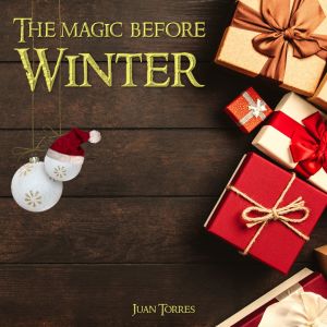 Album The Magic before Winter from Juan Torres