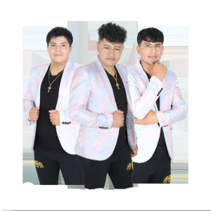 Album Corazón de Piedra from Los Martinez