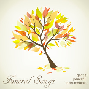 收聽Instrumental Funeral Music Artists的Twinkle Twinkle Little Star by Mozart歌詞歌曲