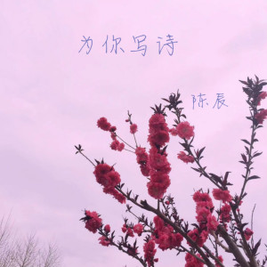 收聽陳辰的為你寫詩歌詞歌曲