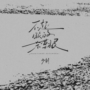 Album 不起眼的杂草根 from 少刘