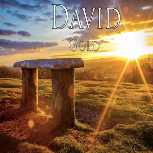 收听DAVID的Gold歌词歌曲